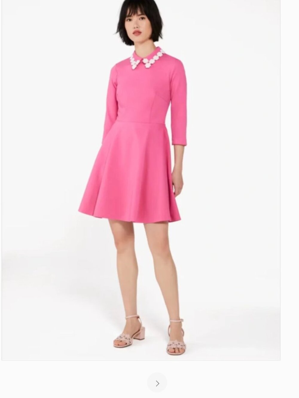 Kate spice floral collar dress